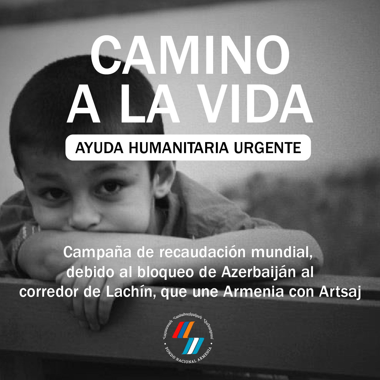 Ayuda Humanitaria urgente para Artsaj #CaminoALaVida
